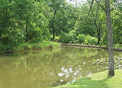 [photo, North East Creek, North East (Cecil County), Maryland]